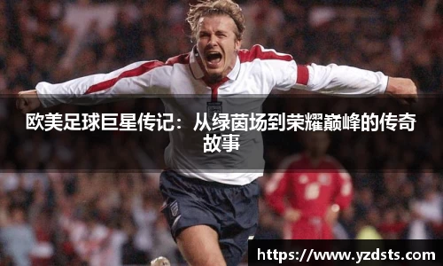 欧美足球巨星传记：从绿茵场到荣耀巅峰的传奇故事